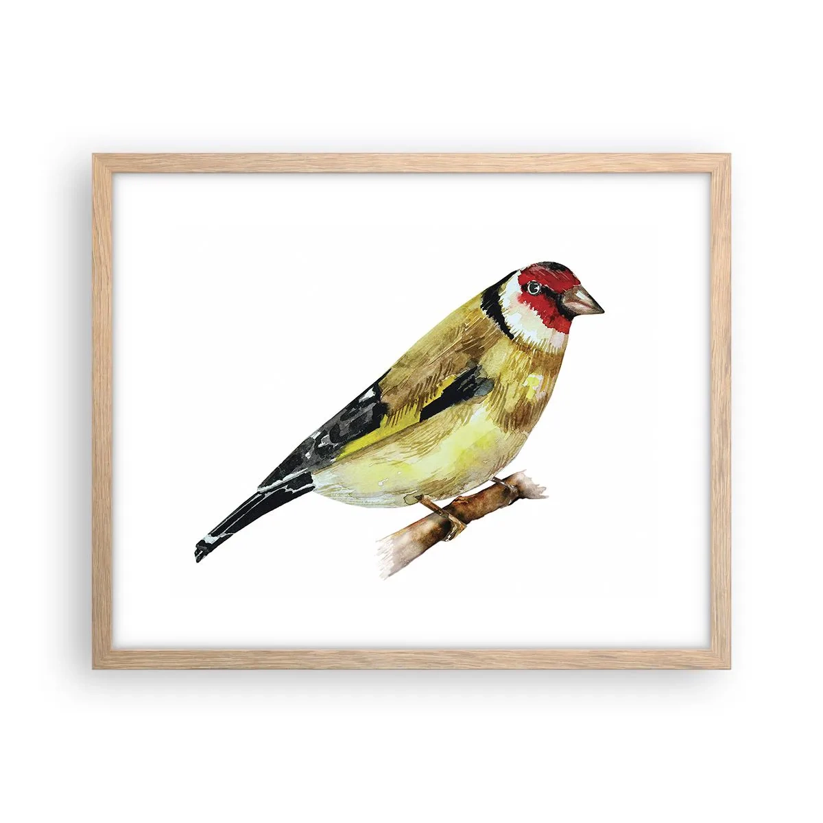 Plakát v rámu světlý dub - Ptáčí portrét - 50x40 cm