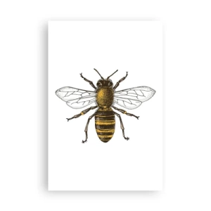 Plakát - Krásná a dobrá - 61x91 cm