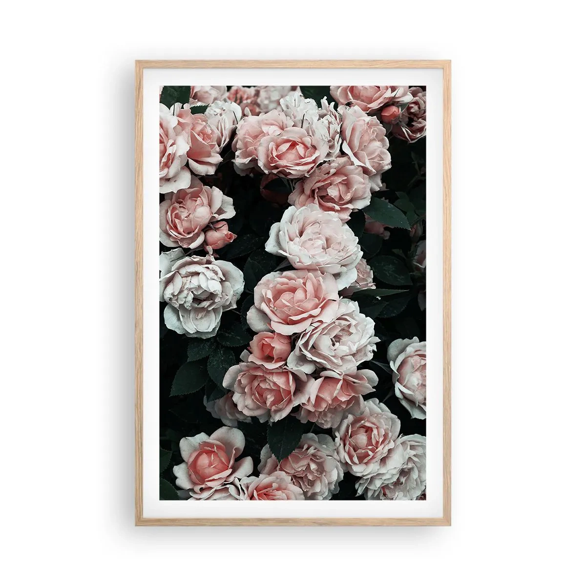 Plakát v rámu světlý dub - Růžový ansámbl - 61x91 cm