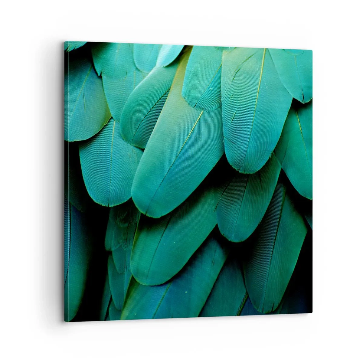 Obraz na plátně - Přesnost papouščí povahy - 60x60 cm