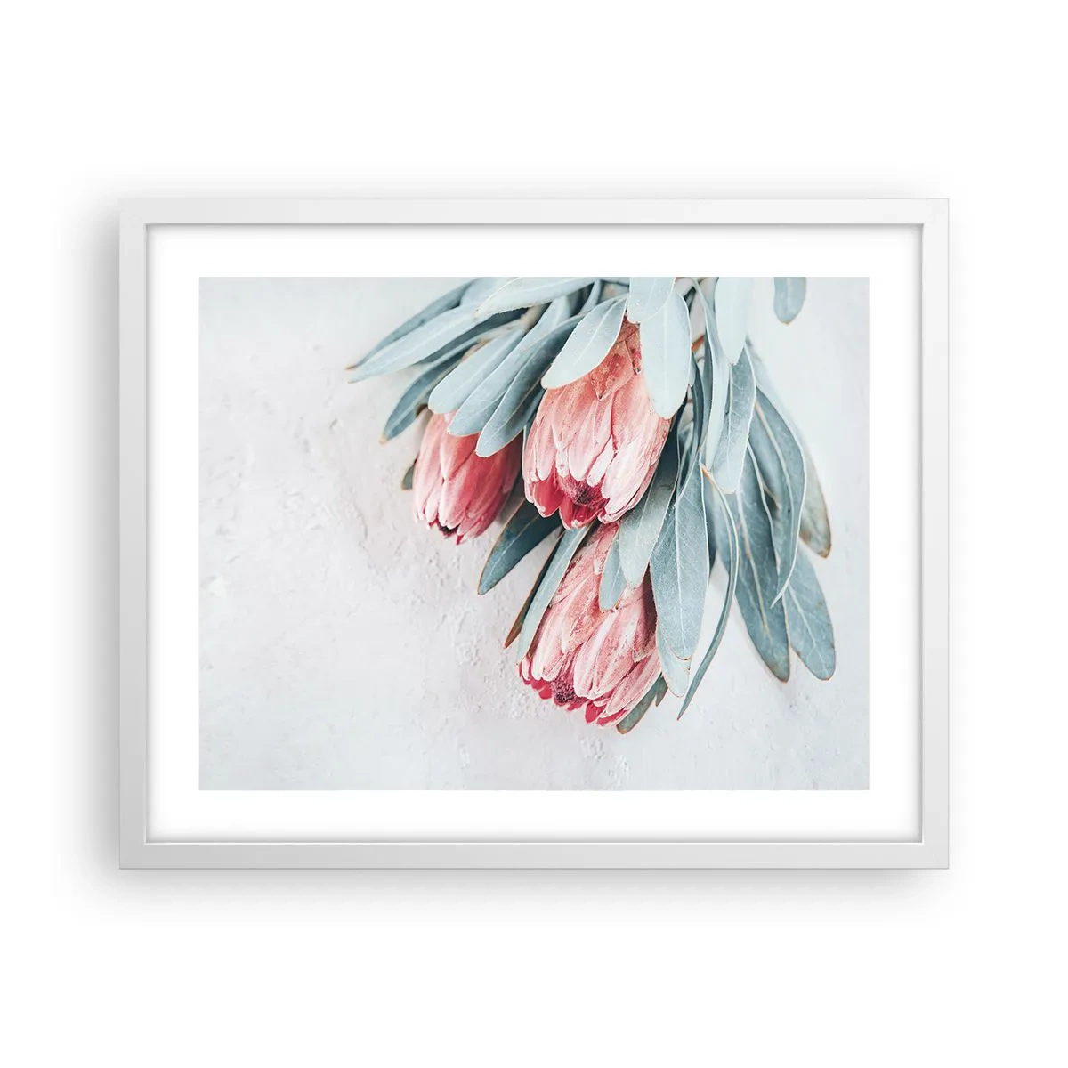 Plakát v bílém rámu - Zahanbené svou vlastní krásou - 50x40 cm