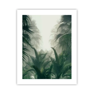 Plakát - Tropická záhada - 40x50 cm