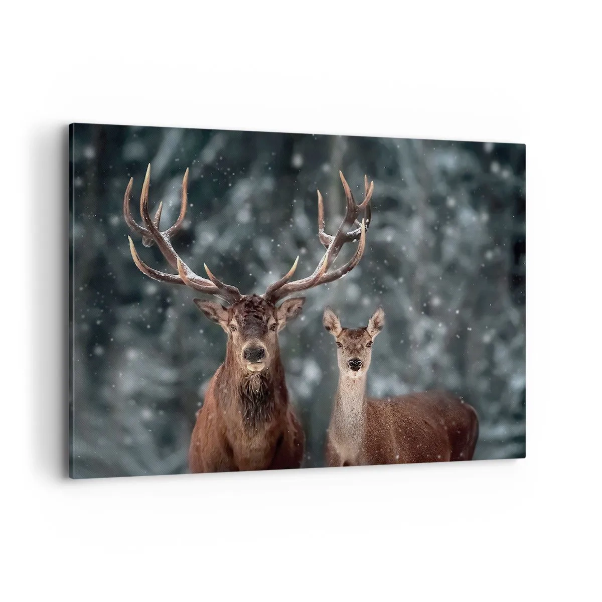 Obraz na plátně - Pán lesa se svou ženou - 100x70 cm