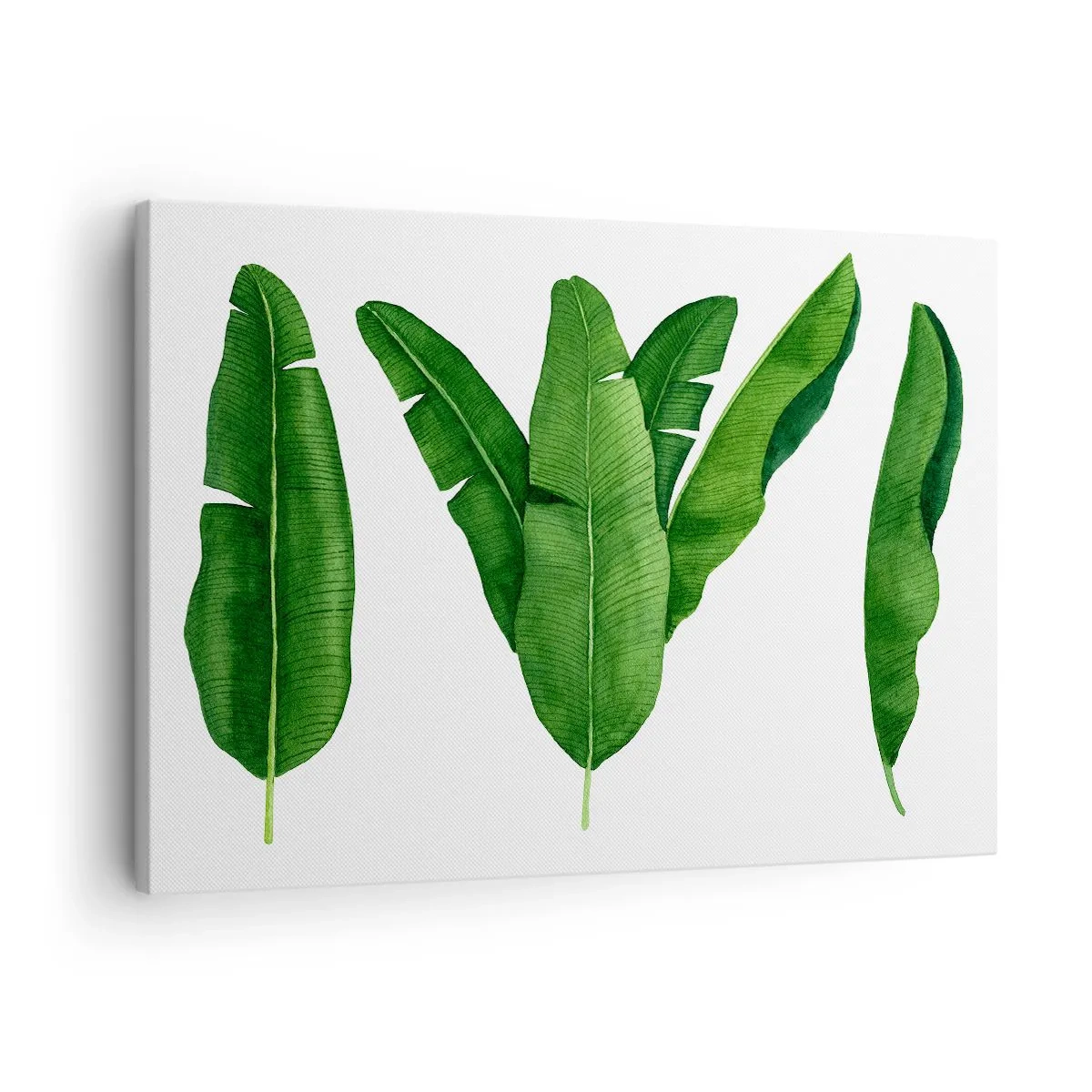 Obraz na plátně - Tři banánové listy v uměleckém pojetí - 70x50cm - Zelená symetrie - Moderní nástěnná dekorace do obývacího pokoje a ložnice ARTTOR