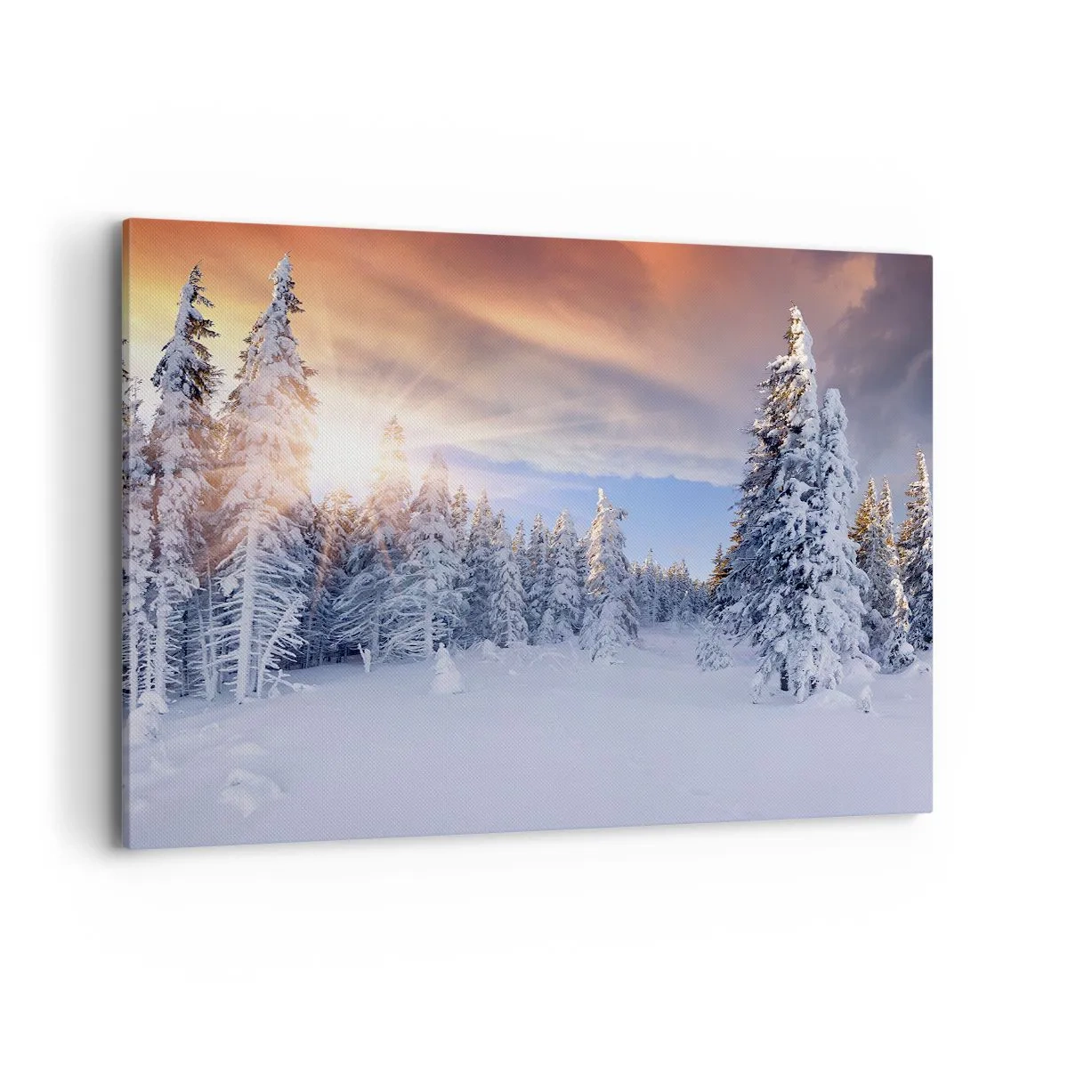 Obraz na plátně - Sněžné představení přírody - 120x80 cm
