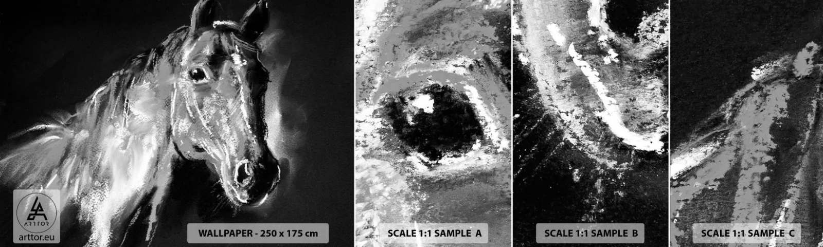 Fototapeta Vzorek Standard Eco - Záření vznešené duše - Zvířata, Kůň, Kobyla - 100x30 cm
