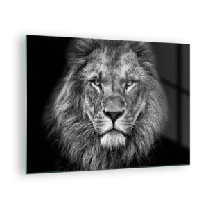 Obraz na skle - Portrét lva v černé a bílé s majestátní hřívou - 70x50cm - V korunovačním oděvu - Moderní nástěnná dekorace do obývacího pokoje a ložnice ARTTOR