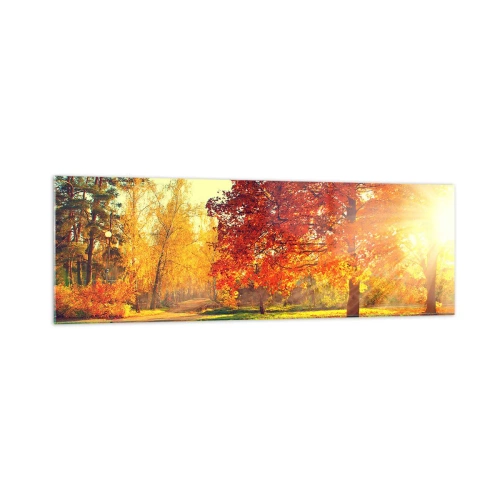 Obraz na skle - Rudé je krásné - 160x50 cm