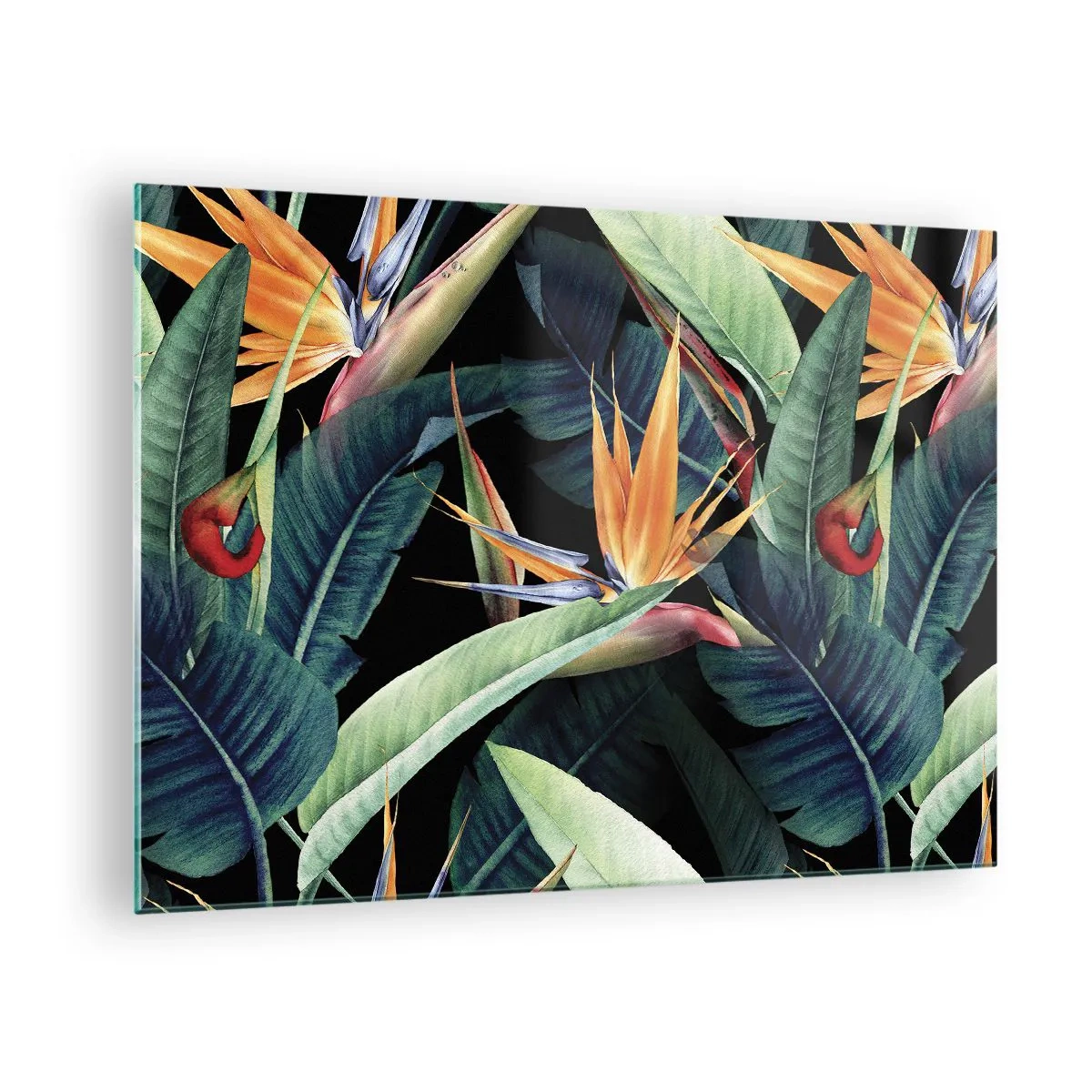 Obraz na skle - Květy Strelitzia a tropické listy na černém pozadí - 70x50cm - Plamenné květy tropů - Moderní nástěnná dekorace do obývacího pokoje a ložnice ARTTOR