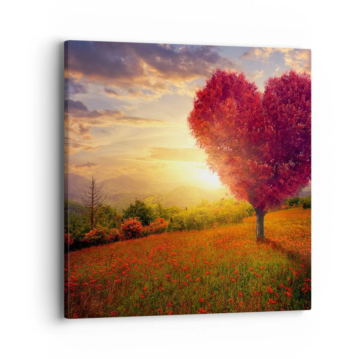 Obraz na plátně - Je to dojemné - 40x40 cm