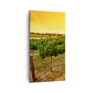 Obraz na plátně - Napít se slunce - 55x100 cm