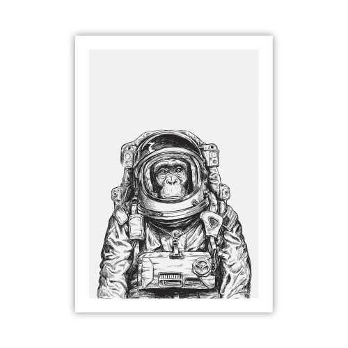 Plakát - Alternativní vývoj - 50x70 cm