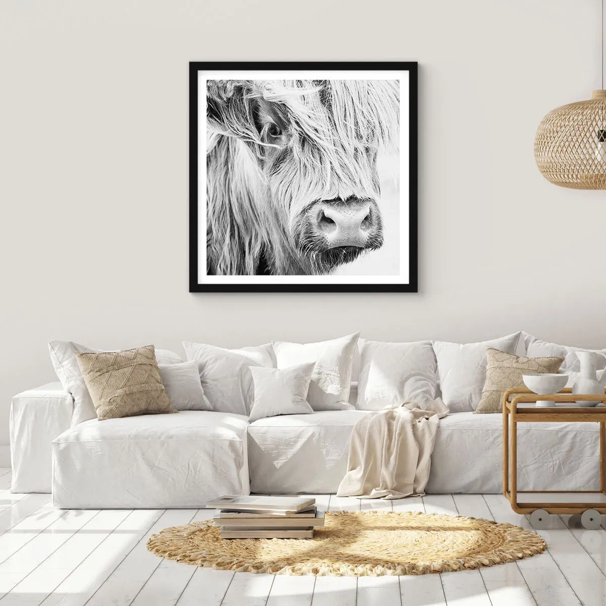 Plakát v černém rámu - Skotská divokost - 60x60 cm