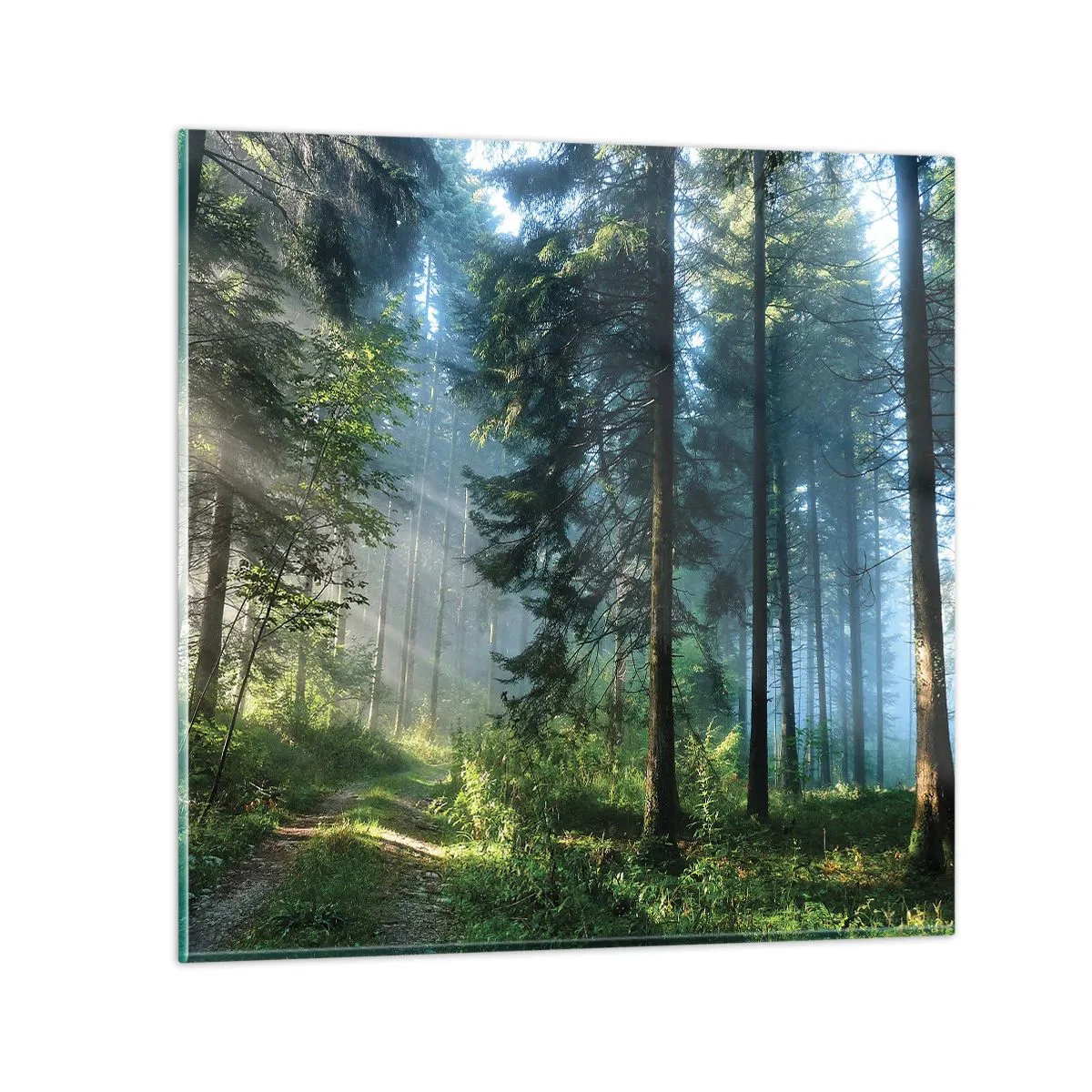 Obraz na skle - Zářící za úsvitu - 50x50 cm