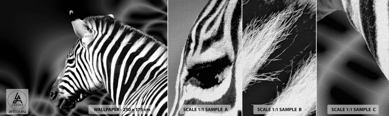 Vzor Fototapety Premium Canvas - Bílé je bílé a černé je černé - Žebra, Černý a bílý, Zvířata - 100x30 cm