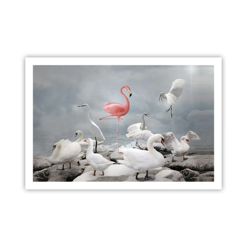 Plakát - Kde jsem se tu vzal? - 91x61 cm