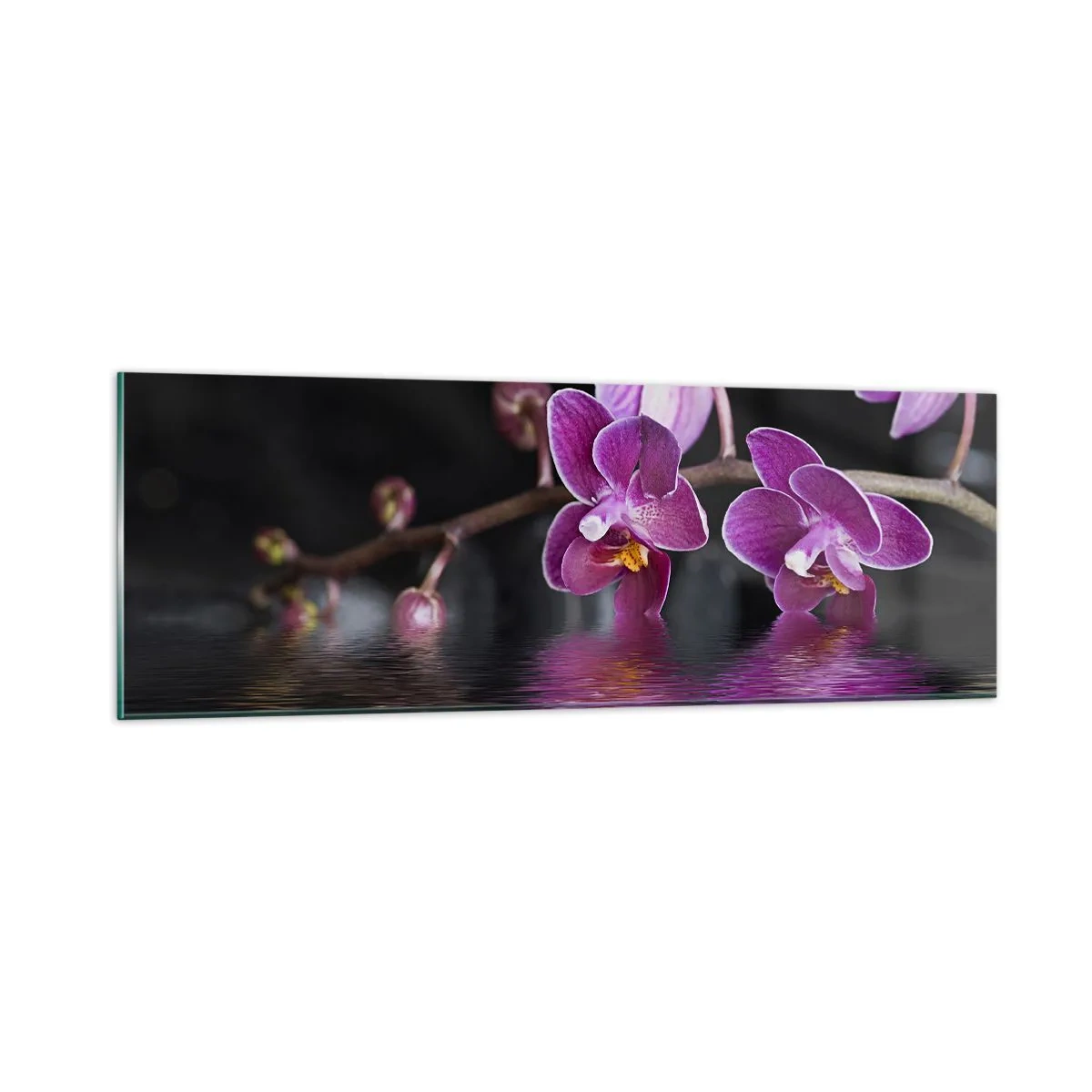 Obraz na skle - Liliový odraz krásy - 90x30 cm