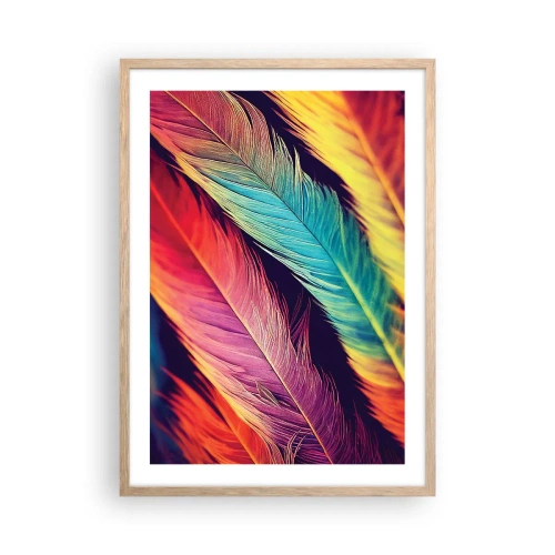 Plakát v rámu světlý dub - Opeřená duha - 50x70 cm