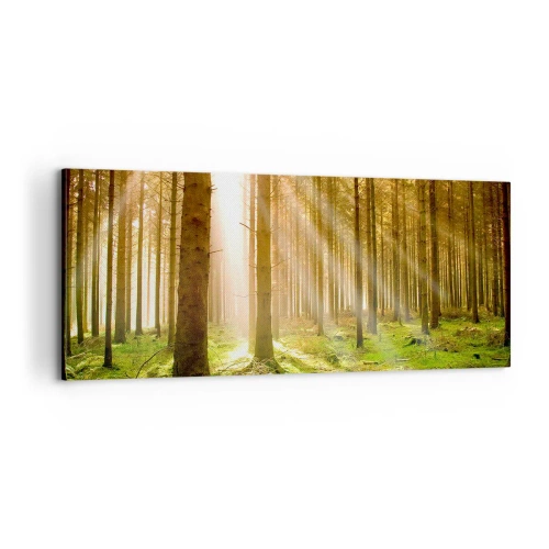 Obraz na plátně - Brzy se objeví elfové - 100x40 cm