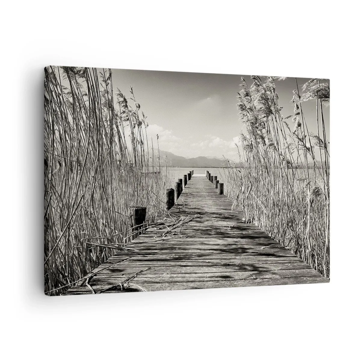 Obraz na plátně - Dřevěné molo mezi vysokými trávami nad jezerem v sépiovém odstínu - 70x50cm - V ústraní travin - Moderní nástěnná dekorace do obývacího pokoje a ložnice ARTTOR