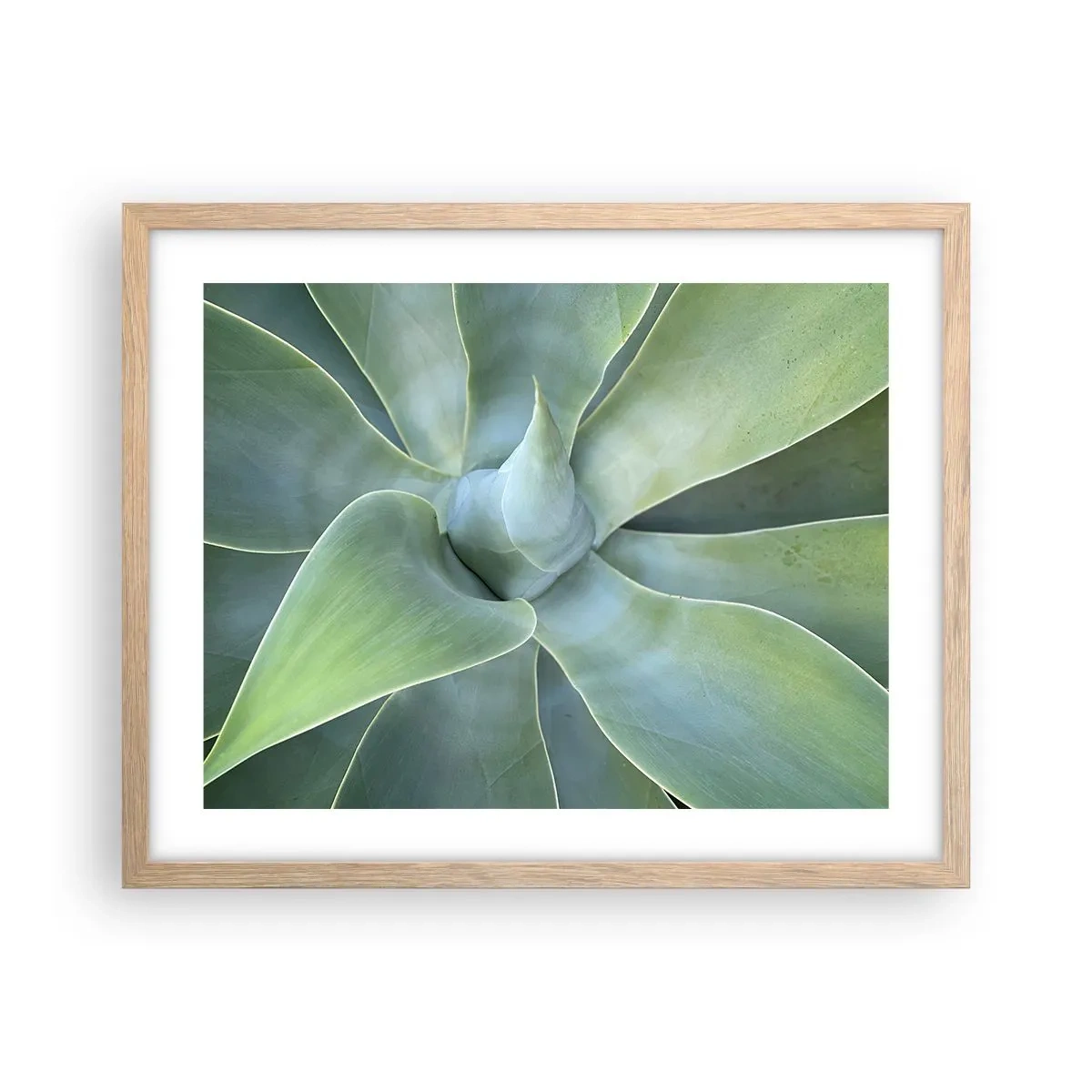 Plakát v rámu světlý dub - Zrození zeleně - 50x40 cm