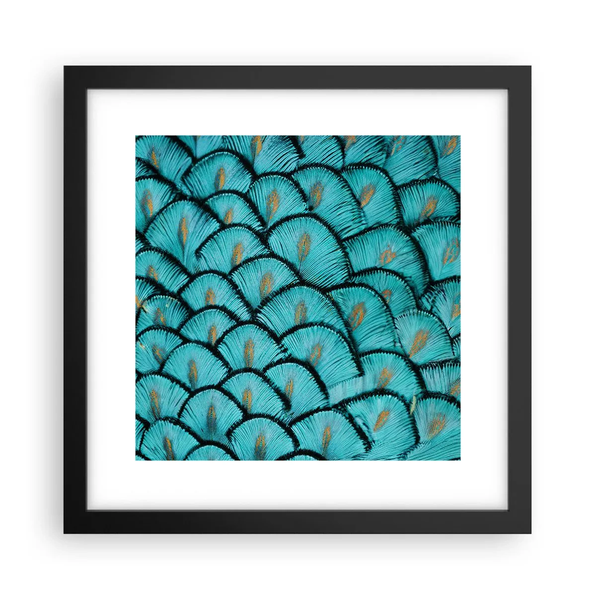 Plakát v černém rámu - Velká slavnost peří - 30x30 cm