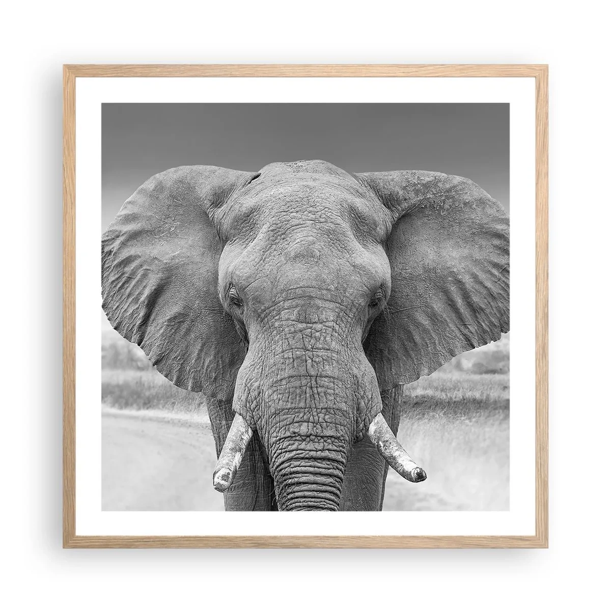 Plakát v rámu světlý dub - Vítejte v mém světě - 60x60 cm