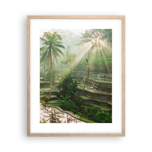 Plakát v rámu světlý dub - Vyrůstát na slunci - 40x50 cm