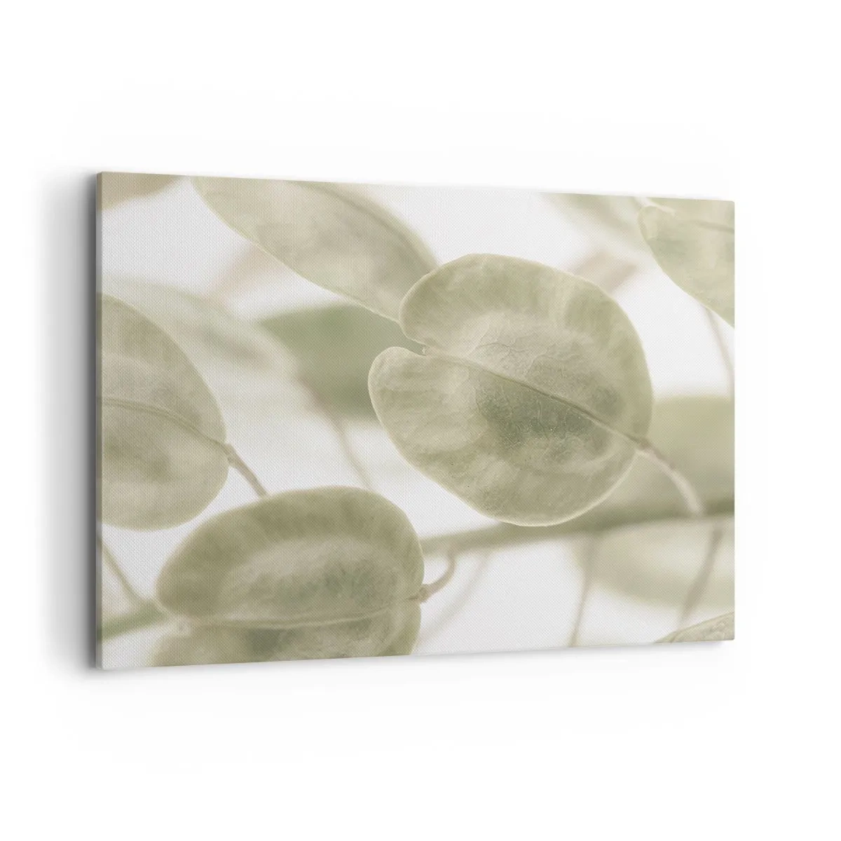 Obraz na plátně - Na začátku bylo listí… - 100x70 cm