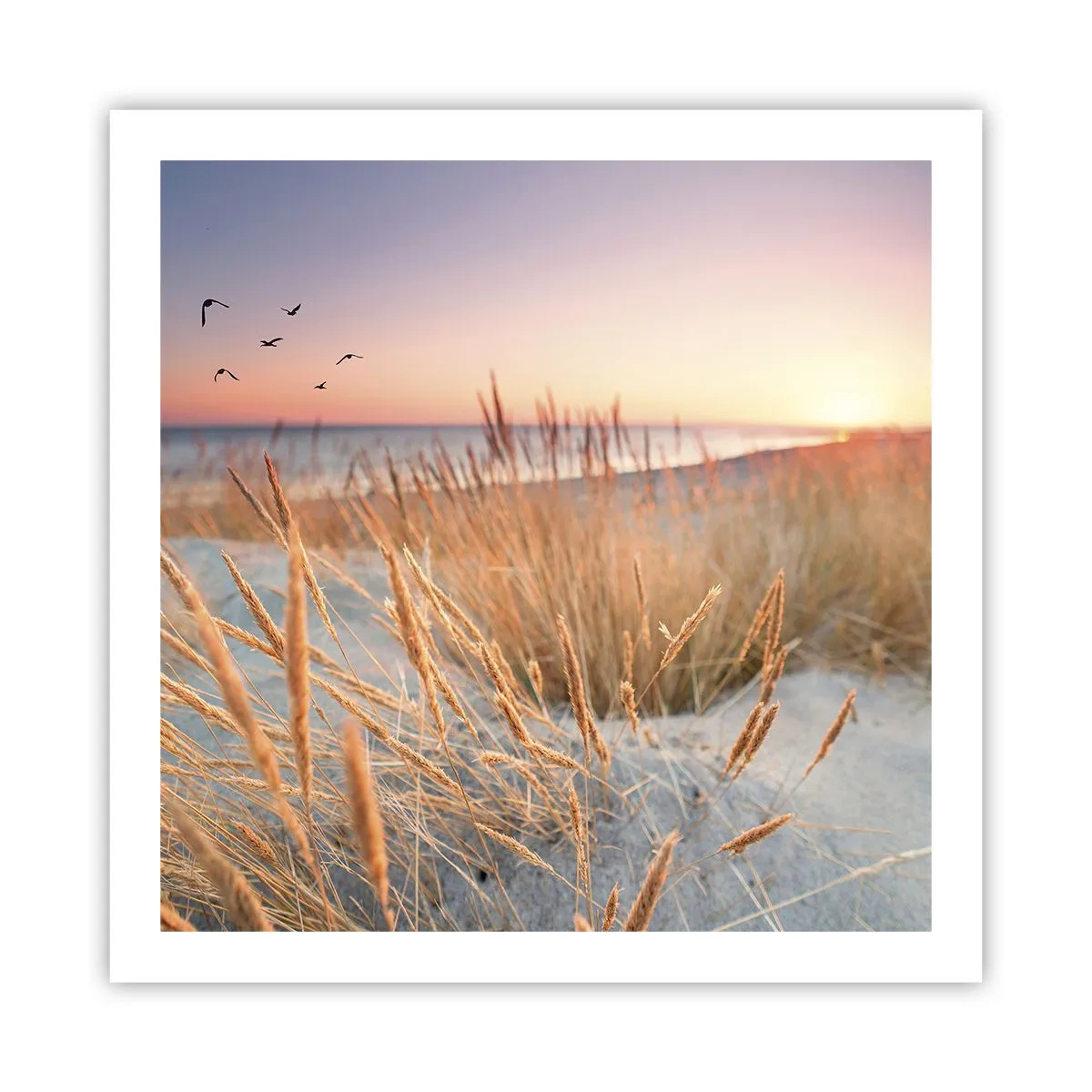 Plakát - Baltská ukolébavka - 60x60 cm