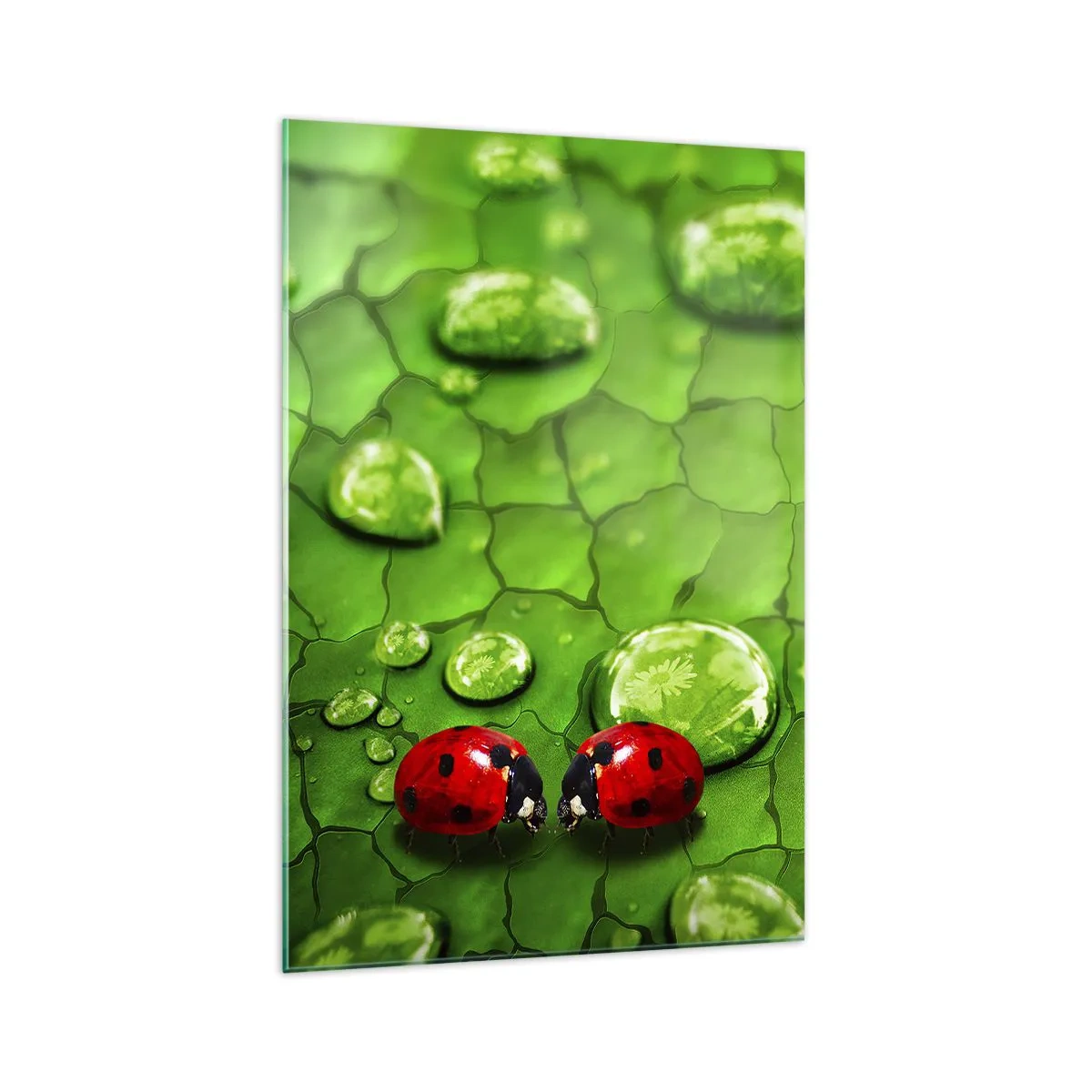 Obraz na skle - Setkání v zeleni - 70x100 cm