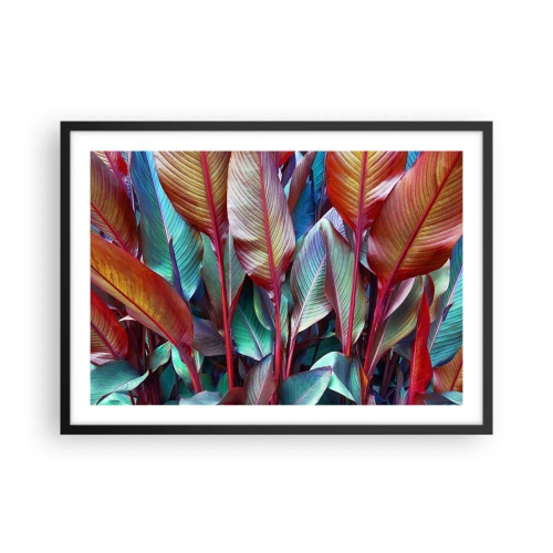 Plakát v černém rámu - Barevná houština - 70x50 cm