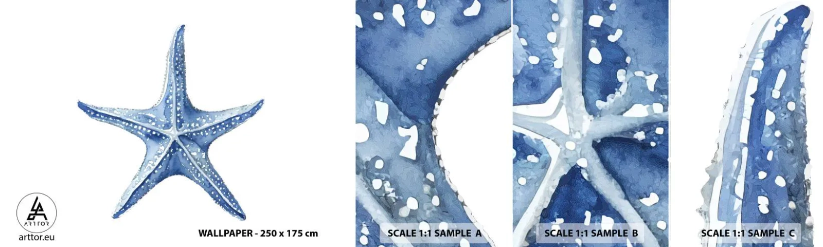 Fototapeta Vzorek Standard Eco - Hvězda moře - Mořská hvězdice, Pobřeží, korálový útes - 100x30 cm