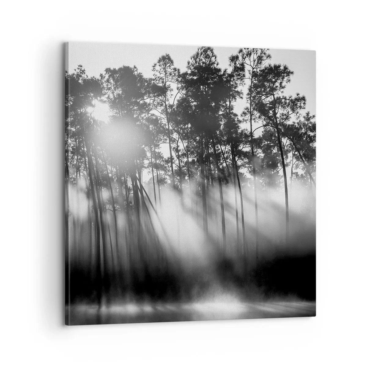 Obraz na plátně - Nezastavitelné slunce - 60x60 cm