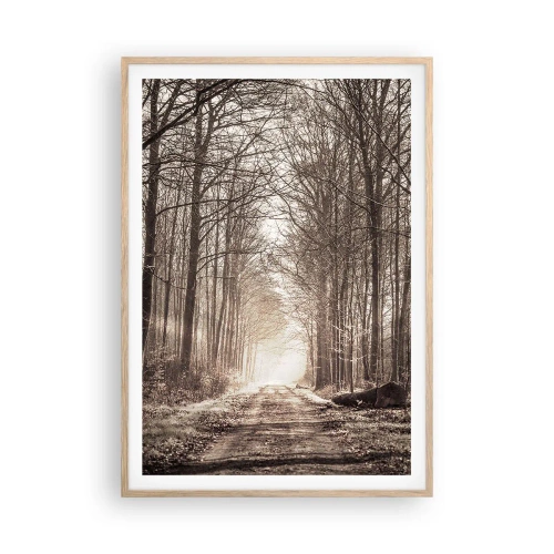 Plakát v rámu světlý dub - Lesní katedrála - 70x100 cm