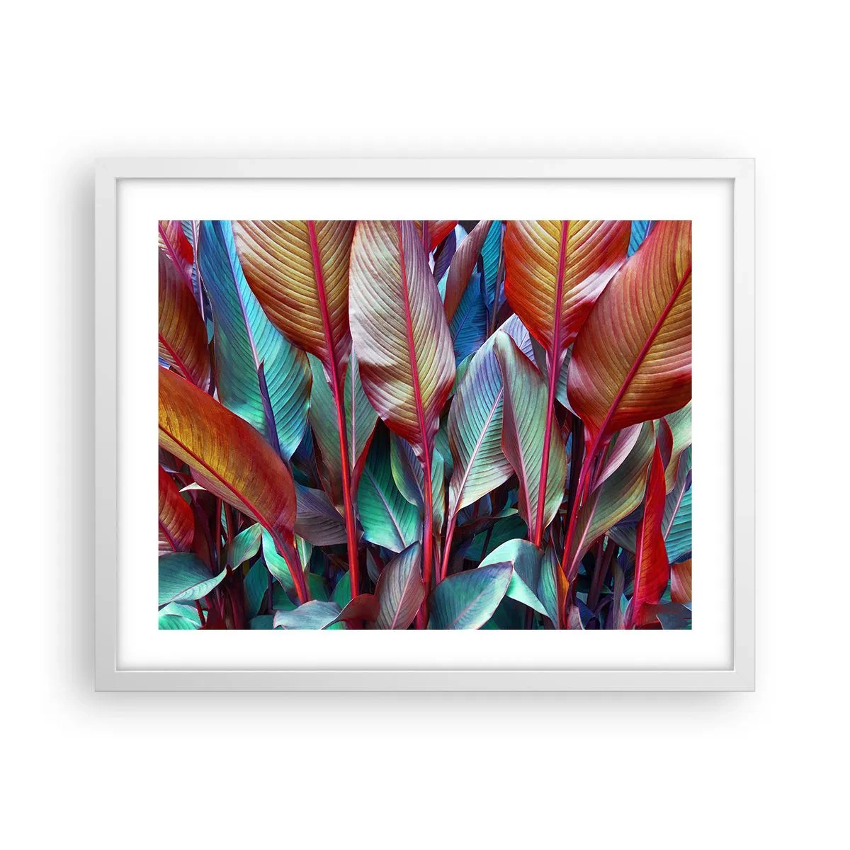 Plakát v bílém rámu - Barevná houština - 50x40 cm
