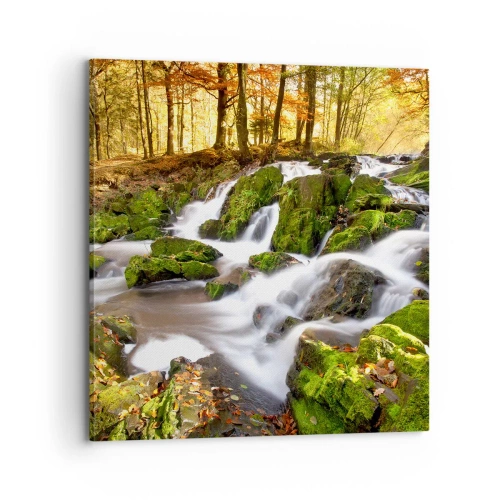 Obraz na plátně - Chvatem podzimním lesem - 70x70 cm