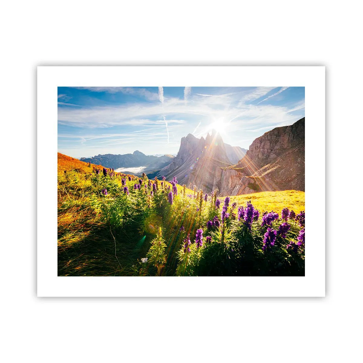 Plakát - Tajemný život bylin - 50x40 cm