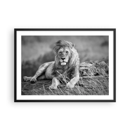 Plakát v černém rámu - Královská siesta - 70x50 cm
