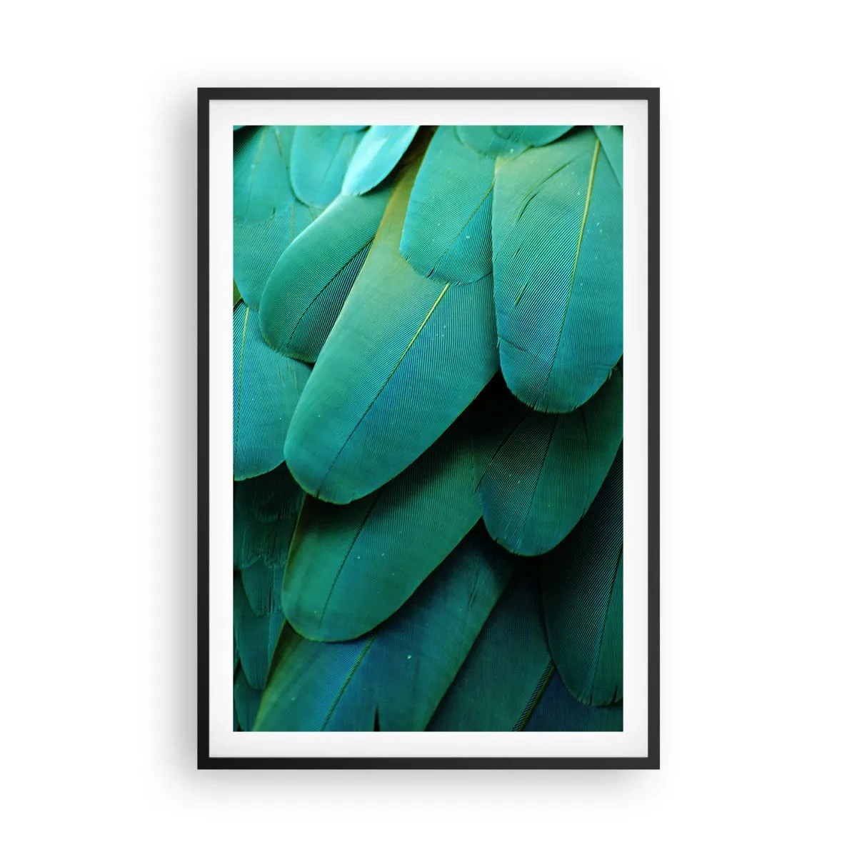 Plakát v černém rámu - Přesnost papouščí povahy - 61x91 cm