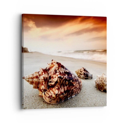 Obraz na plátně - Vyvrženci vln - 30x30 cm