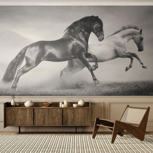 Fototapeta Standard Eco - Černí a bílí koně v dynamickém cvalu - 100x70cm - Andělé a démoni - Moderní nástěnná dekorace do obývacího pokoje a ložnice ARTTOR