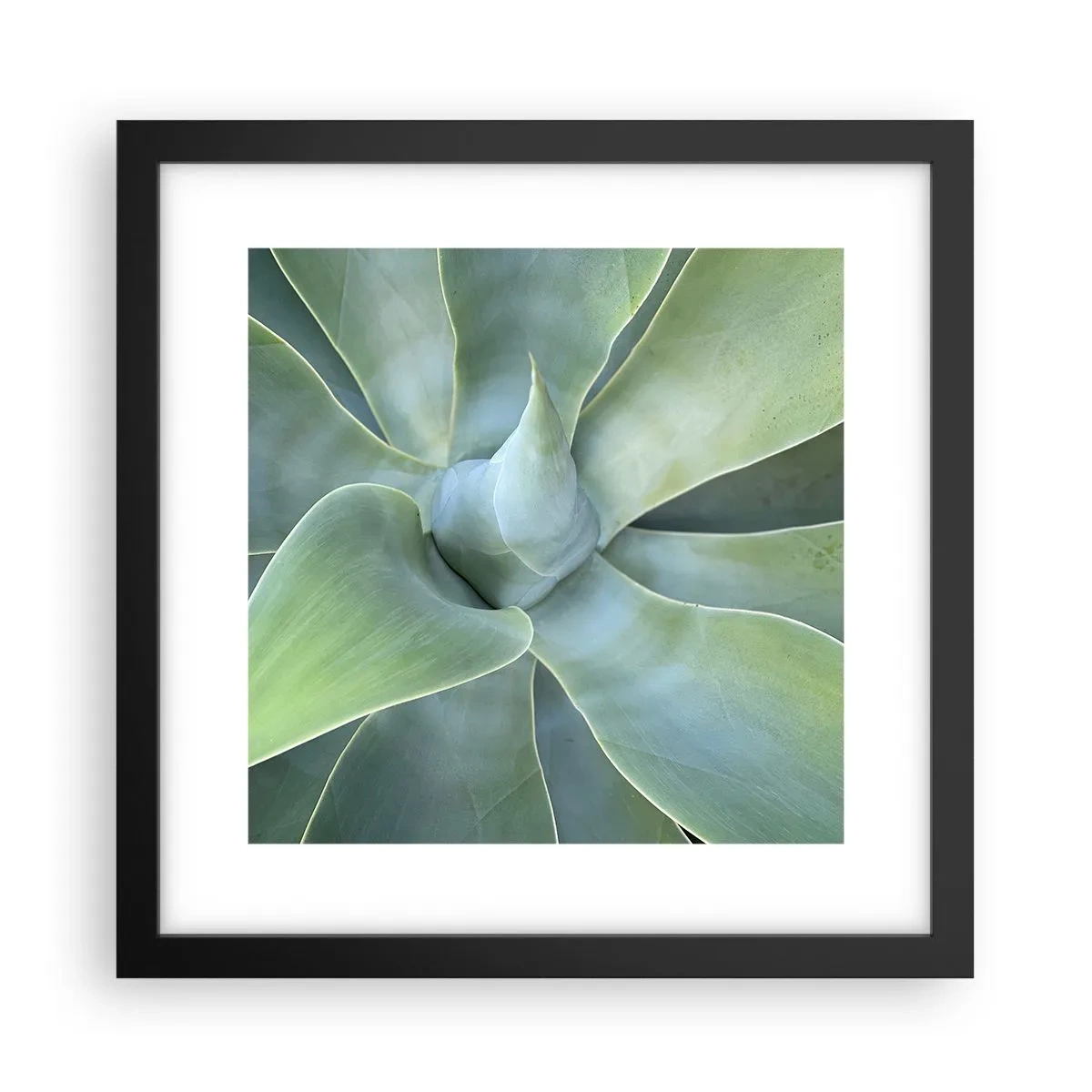 Plakát v černém rámu - Zrození zeleně - 30x30 cm