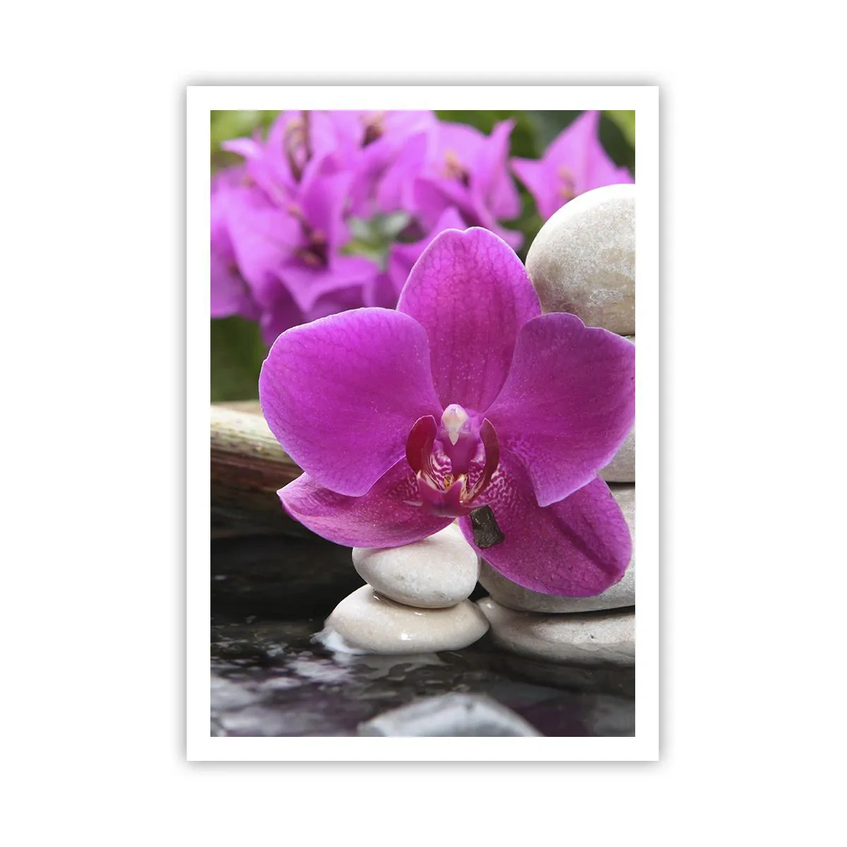 Plakát - Už odpočíváš - 70x100 cm