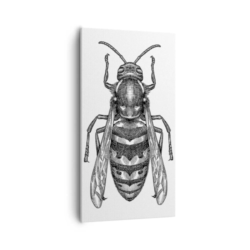 Obraz na plátně - Z hmyzí planety - 55x100 cm