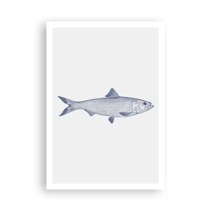 Plakát - Pozdravy ze severních moří - 70x100 cm