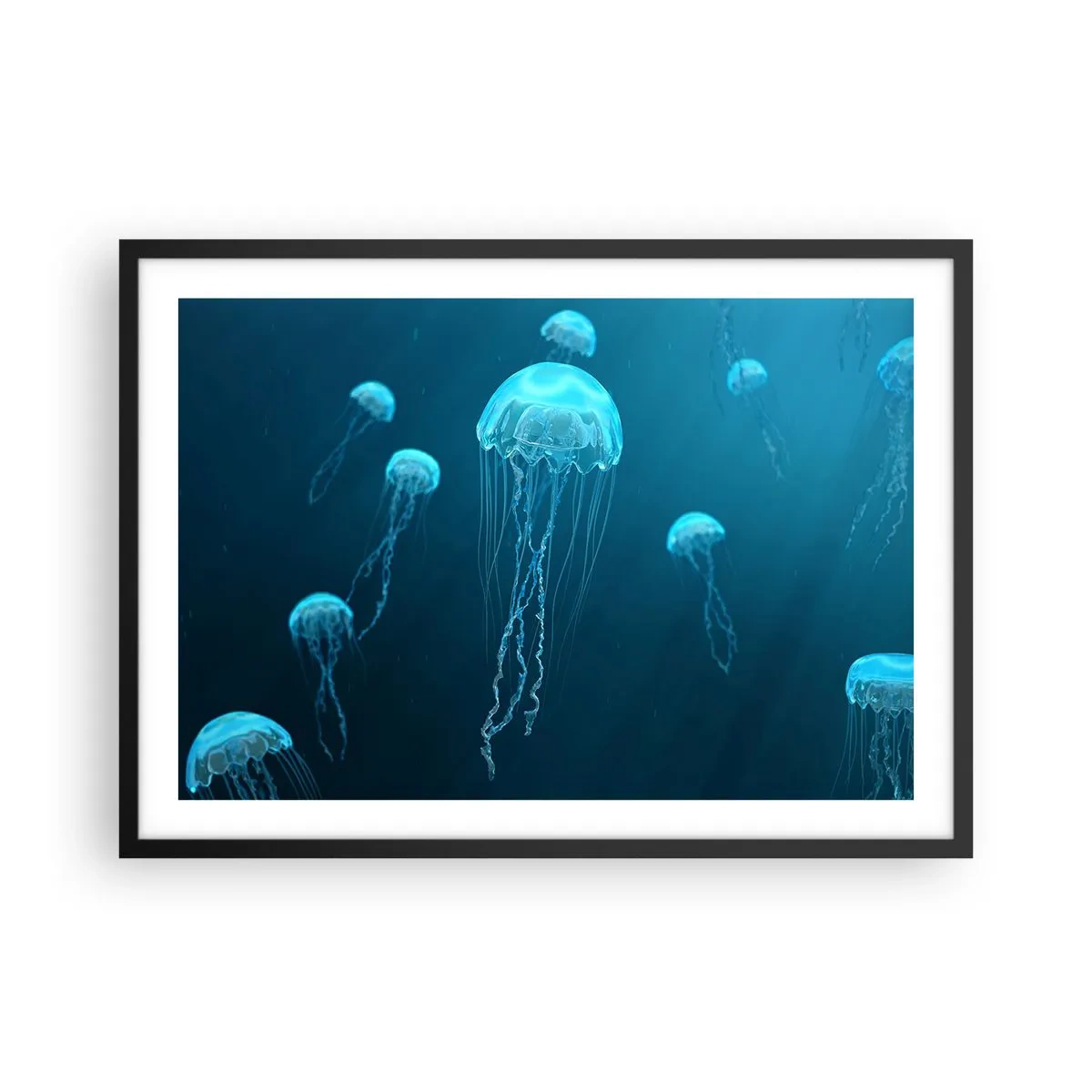 Plakát v černém rámu - Oceánský tanec - 70x50 cm