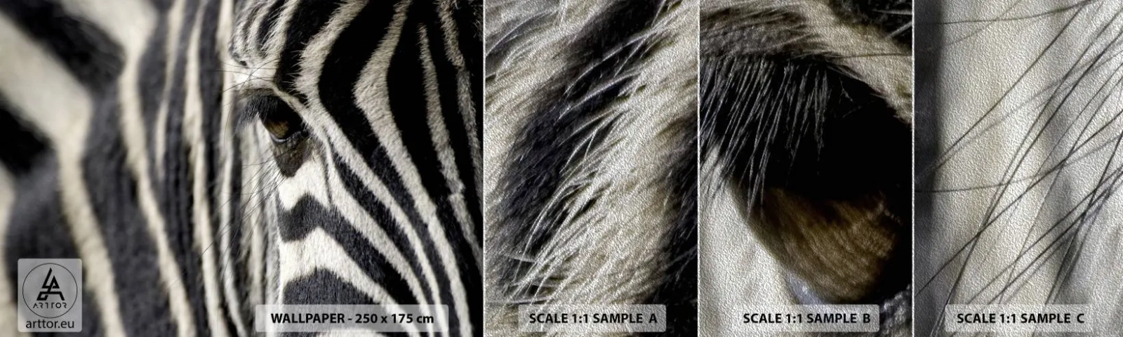 Vzor Fototapety Premium Sand - Portrét s pruhy - Zvířata, Žebra, Afrika - 100x30 cm