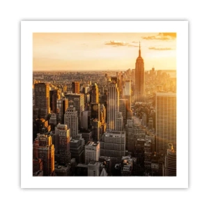 Plakát - Růst na slunci - 50x50 cm