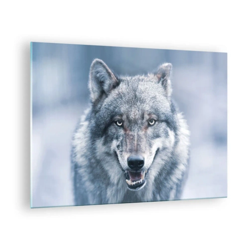 Obraz na skle - Vlk s pronikavým pohledem na pozadí zasněženého lesa - 70x50cm - Přijmete tuto výzvu? - Moderní nástěnná dekorace do obývacího pokoje a ložnice ARTTOR